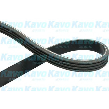 Foto Keilrippenriemen KAVO PARTS DMV1034