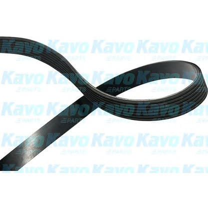 Foto Keilrippenriemen KAVO PARTS DMV2071