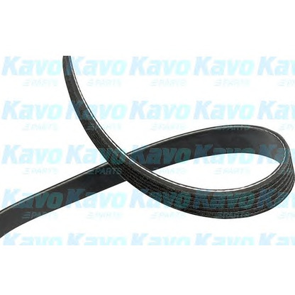 Foto Correa trapecial poli V KAVO PARTS DMV4022