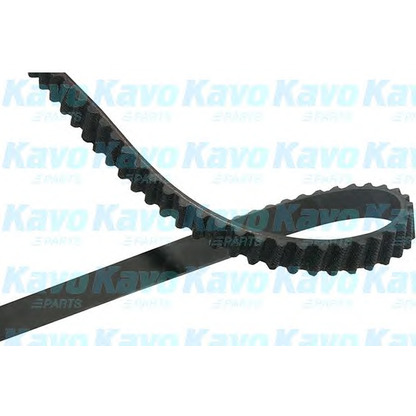 Фото Ремень ГРМ KAVO PARTS DTB4543