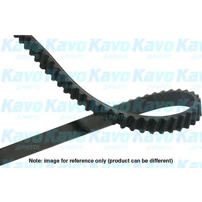 Photo Timing Belt KAVO PARTS DTB8522