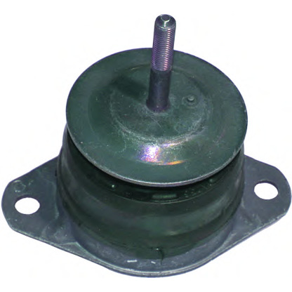 Photo Engine Mounting BIRTH 50082