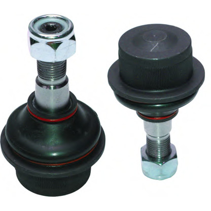 Photo Ball Joint BIRTH CX9235