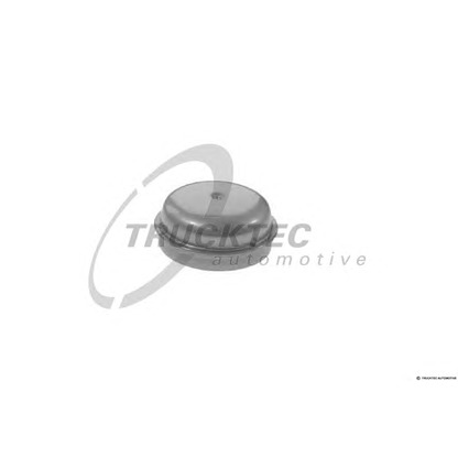 Photo Cap, wheel bearing TRUCKTEC AUTOMOTIVE 0231002