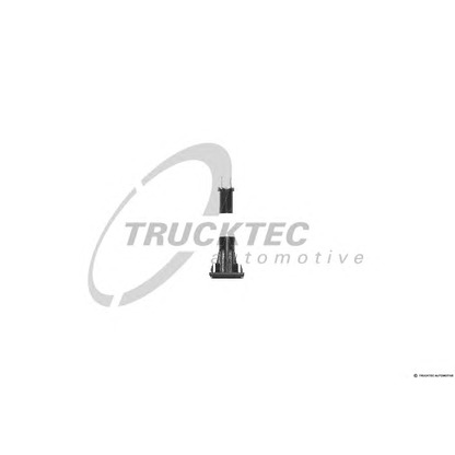 Photo Bulb Socket TRUCKTEC AUTOMOTIVE 0142090