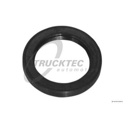 Foto Paraolio, Albero a gomiti TRUCKTEC AUTOMOTIVE 0824002