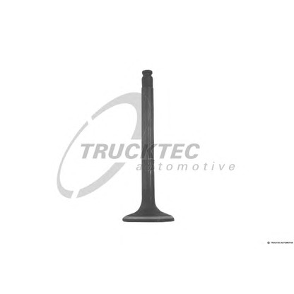 Foto Auslassventil TRUCKTEC AUTOMOTIVE 0212140