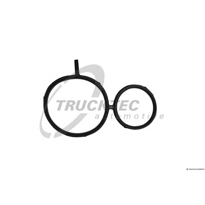 Photo Gasket, timing case TRUCKTEC AUTOMOTIVE 0810059