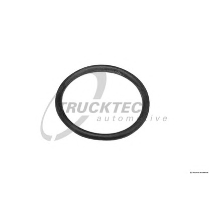Photo Seal Ring TRUCKTEC AUTOMOTIVE 0810093