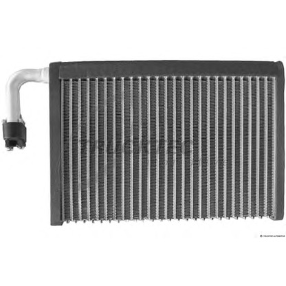 Photo Evaporator, air conditioning TRUCKTEC AUTOMOTIVE 0859046