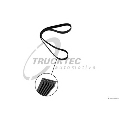 Photo Courroie trapézoïdale à nervures TRUCKTEC AUTOMOTIVE 0619008