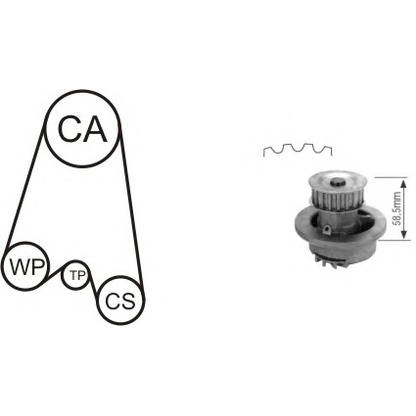 Фото Водяной насос + комплект зубчатого ремня AIRTEX WPK116401