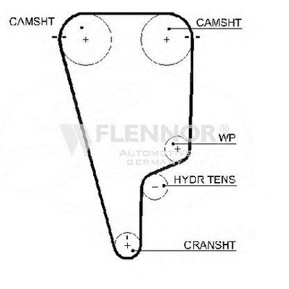 Foto Cinghia dentata FLENNOR 1005