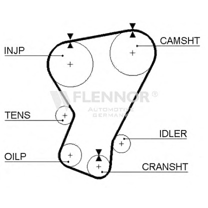 Foto Cinghia dentata FLENNOR 4954