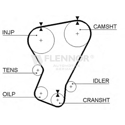 Foto Cinghia dentata FLENNOR 4960