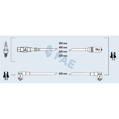 Photo Ignition Cable Kit FAE 85865