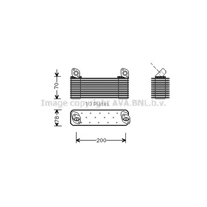 Foto Radiador de aceite, aceite motor AVA QUALITY COOLING ME3001