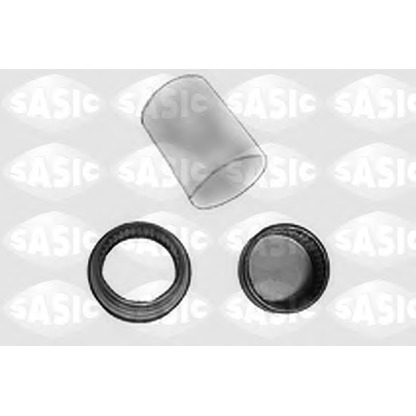 Photo Repair Kit, wheel suspension SASIC 1005127