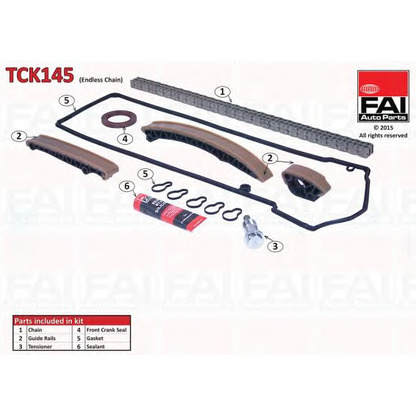 Photo Timing Chain FAI TCK145