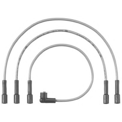 Photo Ignition Cable Kit BERU C19