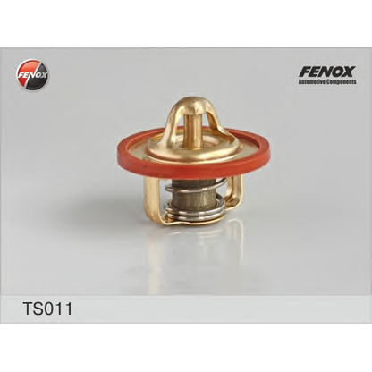 Photo Thermostat d'eau FENOX TS011