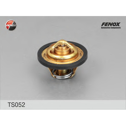 Photo Thermostat d'eau FENOX TS052