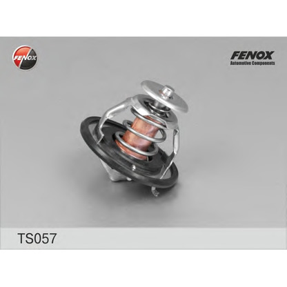 Photo Thermostat d'eau FENOX TS057