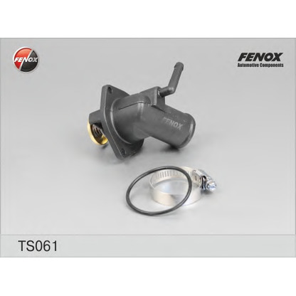 Photo Thermostat d'eau FENOX TS061