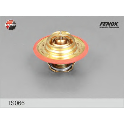 Photo Thermostat d'eau FENOX TS066