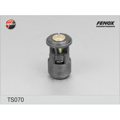 Фото Термостат, охлаждающая жидкость FENOX TS070