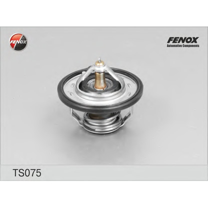 Photo Thermostat, coolant FENOX TS075