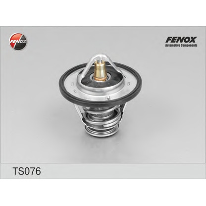 Photo Thermostat d'eau FENOX TS076