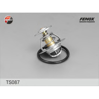 Photo Thermostat d'eau FENOX TS087