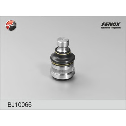 Foto Rótula de suspensión/carga FENOX BJ10066