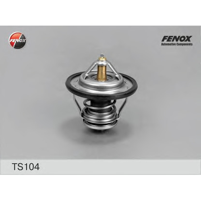 Photo Thermostat d'eau FENOX TS104