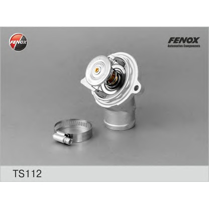 Foto Termostato, Refrigerante FENOX TS112