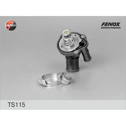 Photo Thermostat d'eau FENOX TS115
