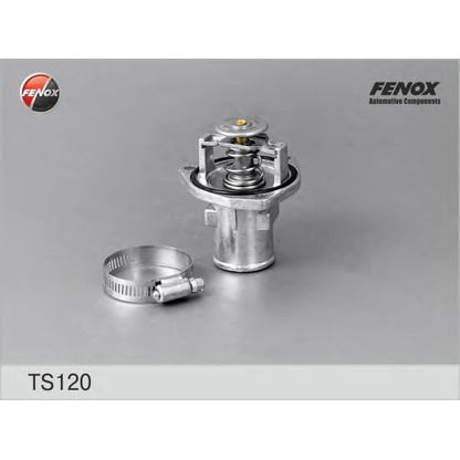 Photo Thermostat d'eau FENOX TS120
