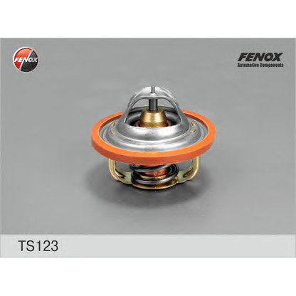 Photo Thermostat d'eau FENOX TS123