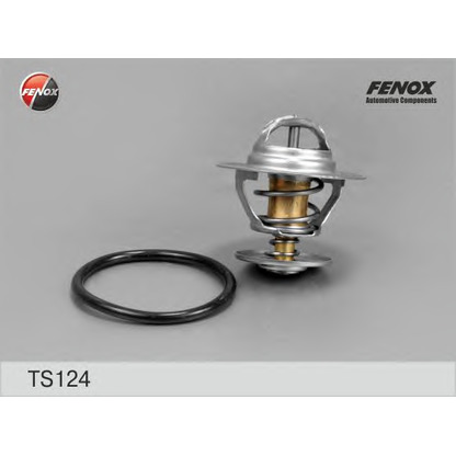 Foto Termostato, refrigerante FENOX TS124