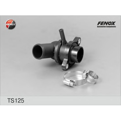 Photo Thermostat d'eau FENOX TS125