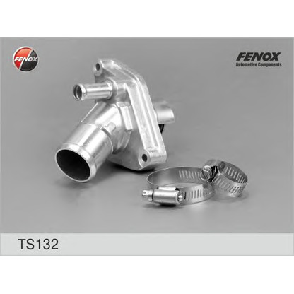Photo Thermostat d'eau FENOX TS132
