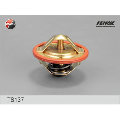 Фото Термостат, охлаждающая жидкость FENOX TS137