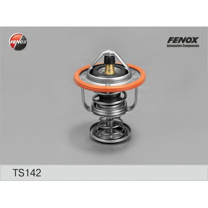 Photo Thermostat d'eau FENOX TS142