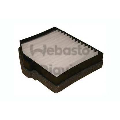 Foto Filter, Innenraumluft WEBASTO 82D0325251A