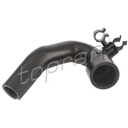 Photo Hose, cylinder head cover breather TOPRAN 113892