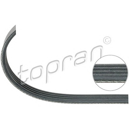 Photo V-Ribbed Belts TOPRAN 109848