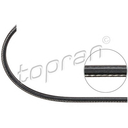 Photo V-Ribbed Belts TOPRAN 109623