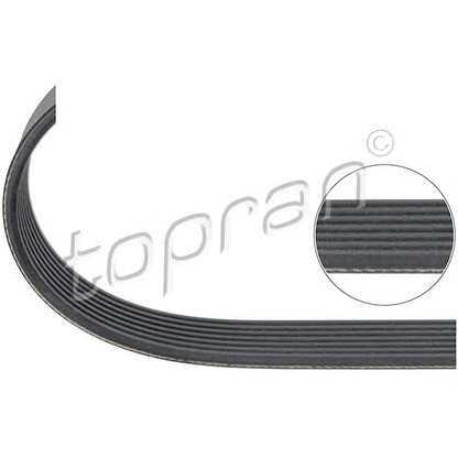 Photo V-Ribbed Belts TOPRAN 401951