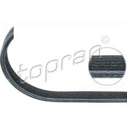 Photo V-Ribbed Belts TOPRAN 111868